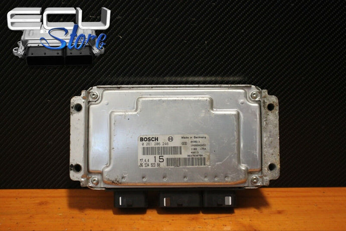 ECU / CENTRALITA MOTOR 0261206246 9653492380 9637838780 - CITROEN PEUGEOT 206